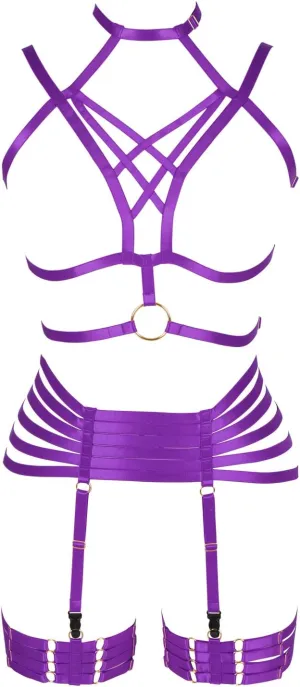 Full Harness Garter Bra Set Lingerie Women Cage Punk Gothic Belt Festival Rave Plus Size Dance Photography Clothing