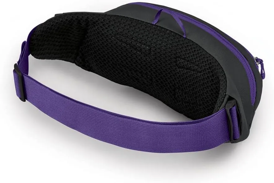 Osprey Daylite Waist Pack, Medium Grey/Dark Charcoal