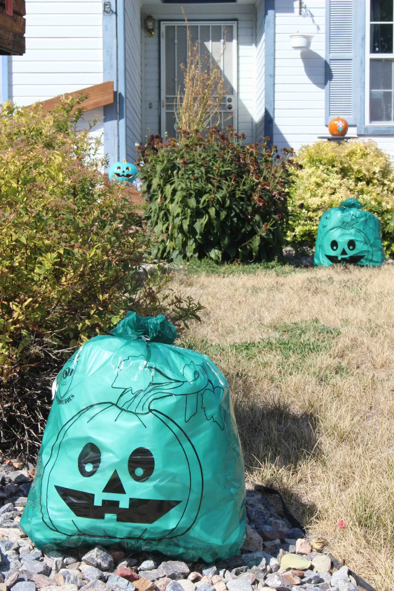 Teal Pumpkin Bundle