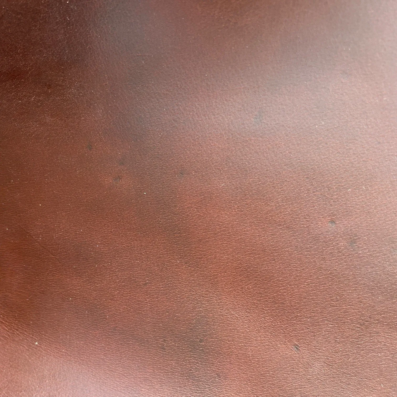 Tosca Buffalo Belting | Peanut | 3.8 mm | 8 sq.ft | From $125 ea.
